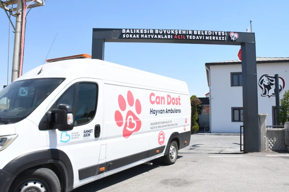 Ahmet Akın’dan doğaya ve can dostlara şefkat eli