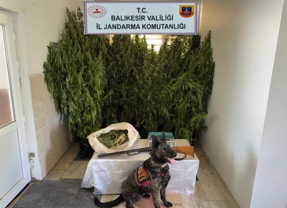 JANDARMADAN NARKOTİK OPERASYONU 