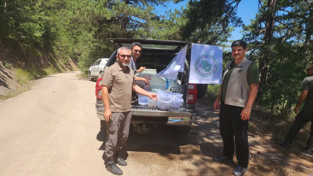 DKMP BALIKESİR