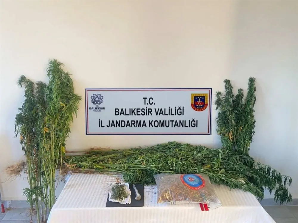 JANDARMA EKİPLERİMİZ’DEN 4 İLÇE’DE NARKOTİK OERASYONLARI GERÇEKLEŞTİ