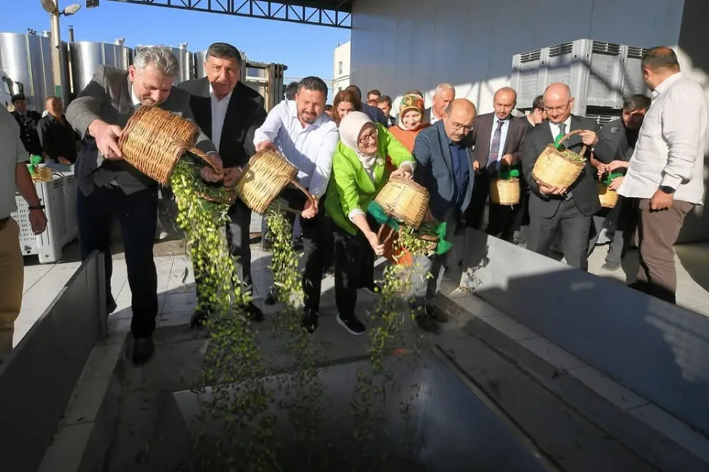 Ayvalık’ta Bu yılın ilk zeytinyağı sıkıldı 