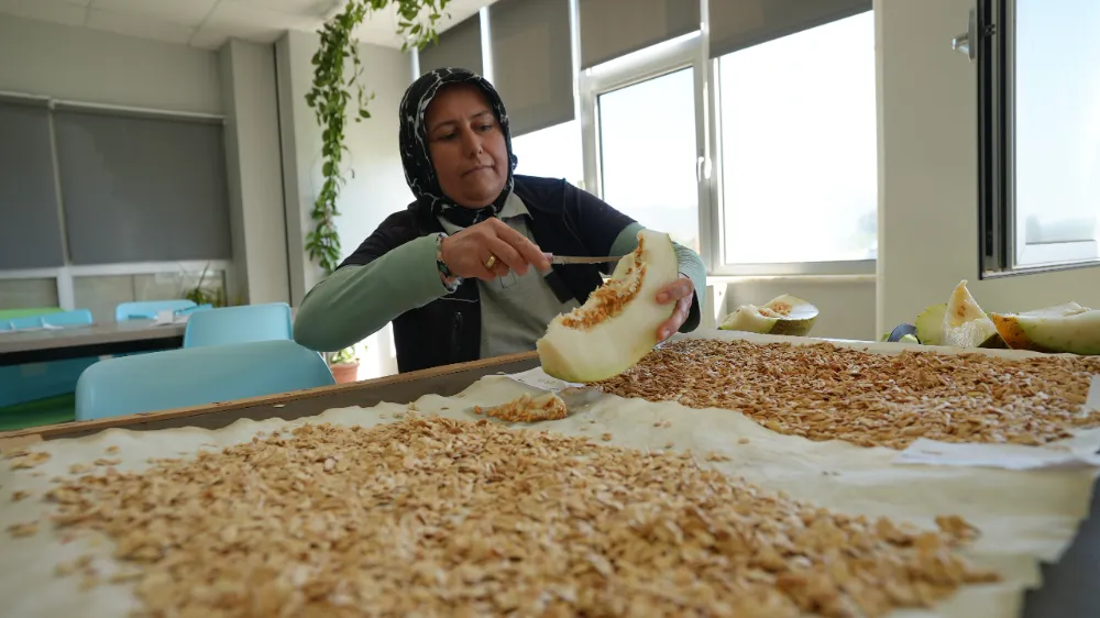 Balıkesir Büyükşehir Belediyesi, tarımı yerel tohumlarla gelecek nesillere aktarıyor