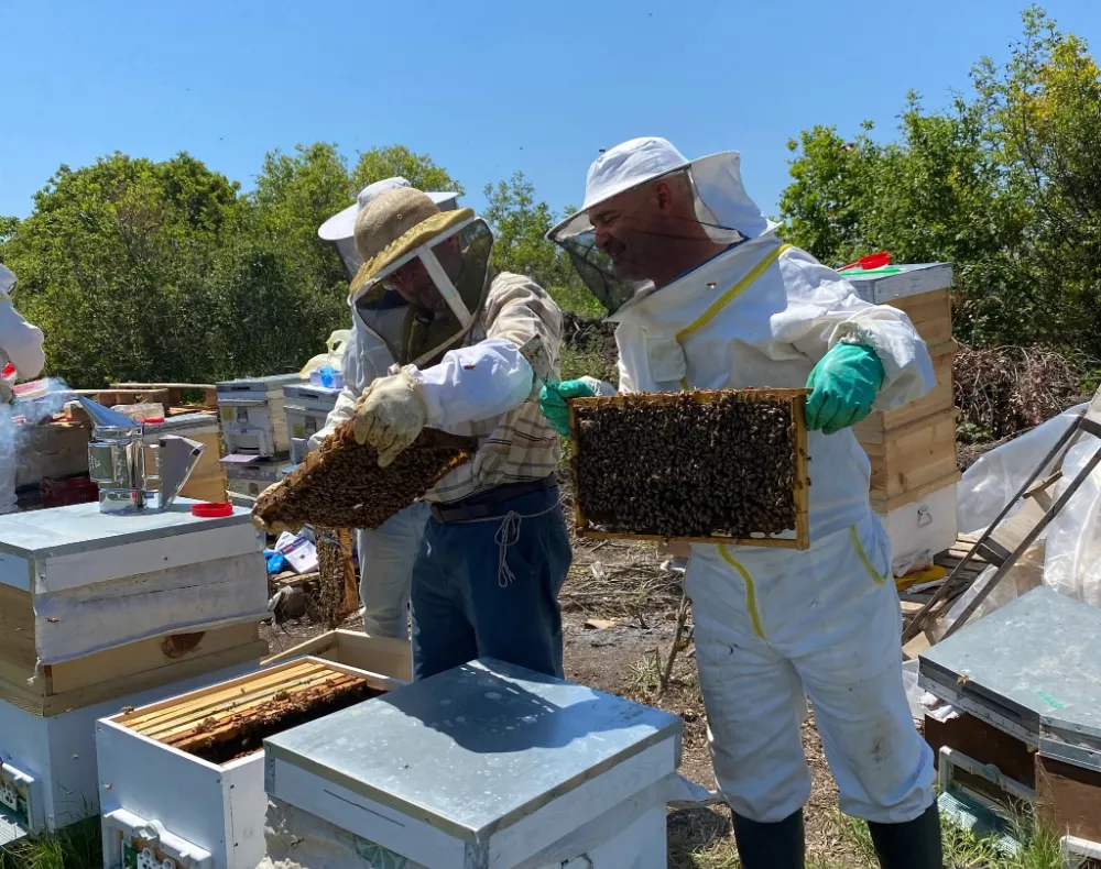 BAÜN’den Doğaya Dost Yenilikçi Bal Üretimi: Kalitesiyle Dünyanın En İyileri Arasında
